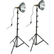 Impact Tungsten Two 12" Floodlight Kit