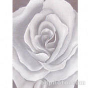 Studio Dynamics Canvas Scenic Background, Lightstand Mount - 7x8' - Gray Rose