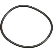 Ikelite O-Ring for DS-125 Battery Door
