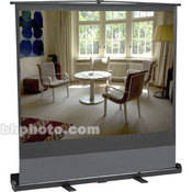 Bretford Portable "Road Show" Projection Screen, Model 6060D-36x48"