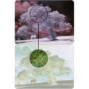 Pentax C91111 Infrared Cut Filter, 49mm