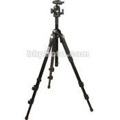 Manfrotto by Bogen Imaging 3021BPRO Tripod (Black) with 488RC2 Ballhead