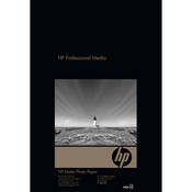 HP / Hewlett-Packard Photo Matte Paper - 13x19" - 50 Sheets