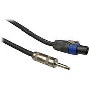 Whirlwind Speakon to 1/4" Male Phone Speaker Cable (12 Gauge) - 25