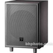 Fender Passport PDP-S50 10" Subwoofer - Black