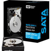 Western Digital 250GB 3.5" Caviar SE16 Serial-ATA Internal Hard Drive for Desktops