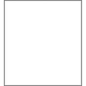 Lastolite White Vinyl Background for 4