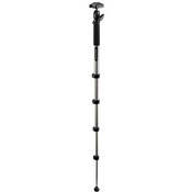 National Geographic NG Tundra Monopod with QR Ball Head