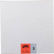 Ilford Ilfospeed RC Deluxe 10 x 10" #3 2.44M - Pearl - 100 Sheets