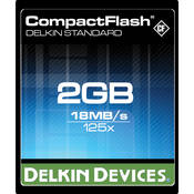 Delkin Devices 2GB eFilm CompactFlash Card