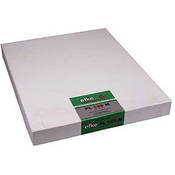 Efke PL 100 M Black and White 8x10" Size Film