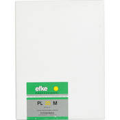 Efke PL 25 M Black and White 5x7" Size Film