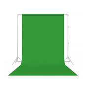 Savage 107" x 12yds Background Paper (#46 Sage/Techgreen)