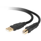 Belkin Gold Series Hi-Speed USB 2.0 Premium Cable A to B - 6