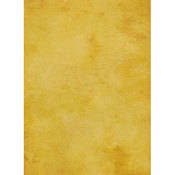 Savage Muslin Styled Background Panels - 40x60" - Roma