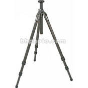 Gitzo GT-2530 Mountaineer 6X Carbon Fiber Tripod Legs
