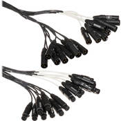 Whirlwind Medusa Multitrack 16 Channel XLR Male to XLR Female Snake - 10
