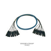 Whirlwind Medusa Multitrack 24 Channel XLR Male to XLR Female Snake - 15
