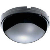 Item Picture
