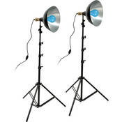 Impact Daylight Floodlight Kit
