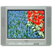 Sansui DFTV200 20" True Flat Stereo Digital TV