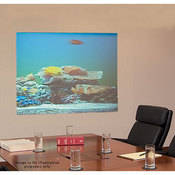 Draper Irus Rear Projection Draper Rear Projection Screens