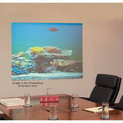 Draper Irus Rear Projection Draper Rear Projection Screens