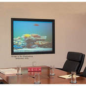 Draper Irus Rear Projection Draper Rear Projection Screens
