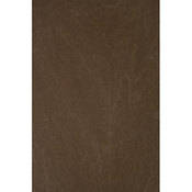 Backdrop-Alley Muslin Background - 10x12