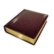Chit Chat Leather Photo Album with Gilded Edges  (8 x 10" ,   Burgundy)   