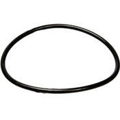 Delta Replacement O-Ring for Hot/Cold Filter Housing (75300)