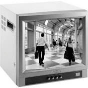 Bolide Technology Group BE8017 Ultra High Resolution 17" B/W CRT Monitor