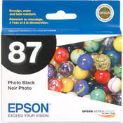 Epson Photo Black UltraChrome High Gloss  2 Ink Cartridge for Epson Stylus Pro R1900 Printer