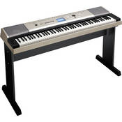 70s & 80s Gold (the Sfx Series for All Home Portable Keyboards)