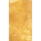 Savage Canvas Infinity Hand Painted  Background - 9 x 20