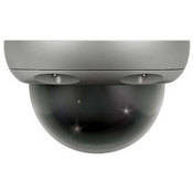 ARM Electronics DMDVP  Dummy Dome Camera (Gray) 