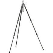 Gitzo GT1531 Mountaineer 6X Carbon Fiber Tripod Legs - Supports 17.6 lbs (8kg)