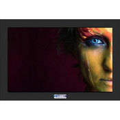 eCinema Systems FX24-2 Color Grading Monitor 