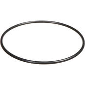 Ikelite 0132.45 O-Ring f/ Ikelite Ultra Compact Digital Camera Housings (Replacement)