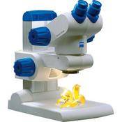 Zeiss Stemi DV4 Stereo Microscope with LED Illumination