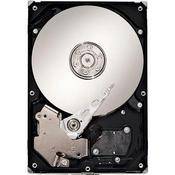 CalDigit 1.5TB Bare SATA Drive for CalDigit RAID Card
