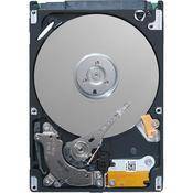 Seagate 500GB Momentus  SATA Hard Drive