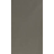 Botero #051 Muslin Background (10x24