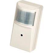 ARM Electronics C420PIR Color Covert PIR Camera with 3.7mm Pinhole Lens