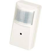 ARM Electronics C520PIR Color Covert PIR Camera with 3.7mm Pinhole Lens