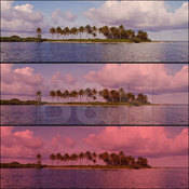 Hoya 49mm Polarizer / Red Glass Filter