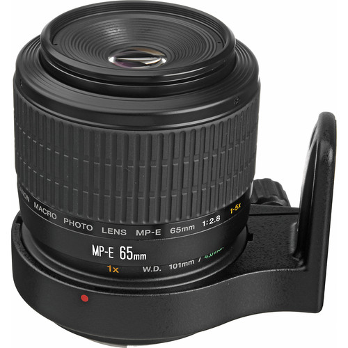 Canon Lente Telefoto de Foco Manual MP-E 65mm f/2.8 1-5x para EOS