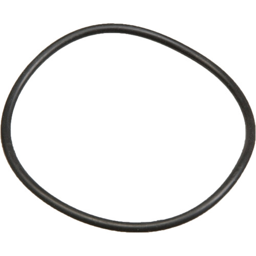 Ikelite O-Ring for DS-125 Battery Door