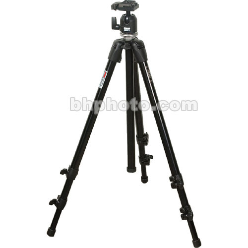 Manfrotto by Bogen Imaging 3011BN Tripod Legs (Black) with 486RC2 Compact Ball Head