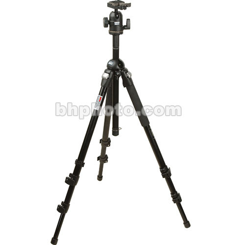 Manfrotto by Bogen Imaging 3021BPRO Tripod (Black) with 488RC2 Ballhead
